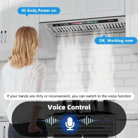 BU09B-30 BRANO Hood Cfm Voice Gesture Touch #2