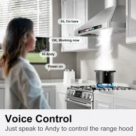 TSR07B-30 BRANO Wall Mount Hood Cfm Ducted Ductless Voice #3