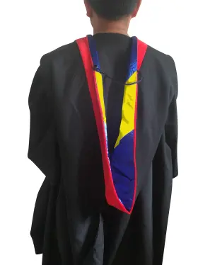 426977108137 CAPPE DIEM Master Graduation Deluxe Hood Nursing #3