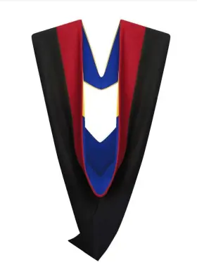426977108137 CAPPE DIEM Master Graduation Deluxe Hood Nursing