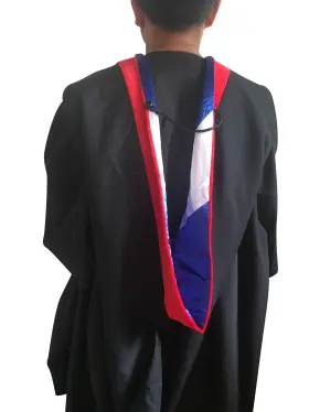 426977108144 CAPPE DIEM Master Graduation Deluxe Hood Nursing #2
