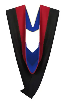 426977108144 CAPPE DIEM Master Graduation Deluxe Hood Nursing
