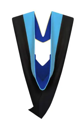 426977108540 CAPPE DIEM Master Graduation Deluxe Hood Nursing