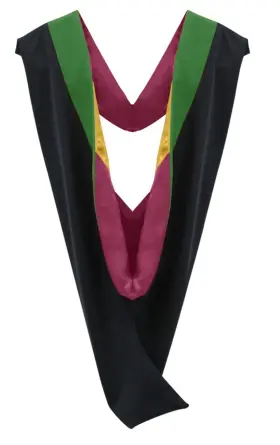 426977108809 CAPPE DIEM Master Graduation Deluxe Hood Nursing