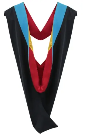 644100015689 CAPPE DIEM Master Graduation Deluxe Hood Nursing
