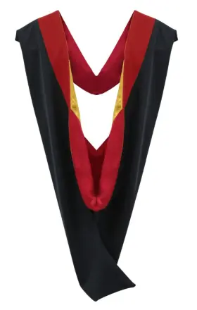 644100015719 CAPPE DIEM Master Graduation Deluxe Hood Nursing