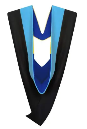 749965052968 CAPPE DIEM Master Graduation Deluxe Hood Nursing