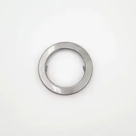 WB02X27214 GE Hood Light Bezel #2