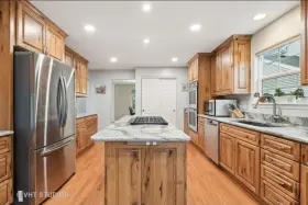 KXD4636YSS3 KITCHENAID Downdraft Hood Quartz Wood Cabinets