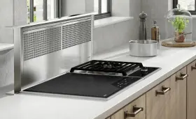 DD45 WOLF Steel Downdraft Hood #2