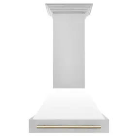 8654STZ-WM30-G Z-LINE KITCHEN Zline Steel Wall Hood