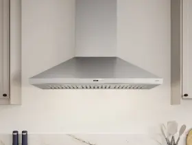ZSP-E36DS ZEPHYR Siena Steel Chimney Wall #3