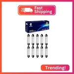Lanuovx 10 Pack Festoon Bulb 12v 5w Xenon Sv8.5-8 T3.25 10x44mm. Fixed Price $19.36.