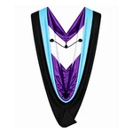 Cappe Diem Master Of Education Graduation Hood Light Blue M.ed. Academic. Fixed Price $91.75.