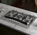 Empava 30 In Gas Cooktop 5 Burner Stainless Steel Lpg/ng Convertible **new**. Fixed Price $209.99.