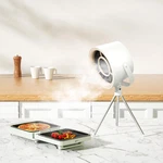 Portable Exhaust Hood, Range Hood With Changeable Filter, Desktop 3-sp. Fixed Price $32.99.