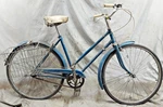 1955 Raleigh Robin Hood Cruiser Bike 50cm Small 3s Internal Hub Steel Brooks Vtg. Fixed Price $459.99.