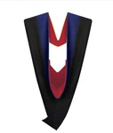 Cappe Diem Master Graduation Deluxe Hood (nursing, Social Work, Theology, Mba,. Fixed Price $91.75.