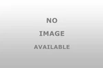 Dexter Bce0435 00 Single Pk Bagged Charcoal Grease. Fixed Price $19.82.