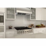 36" Pro 1000 Cfm Stainless Steel Under Cabinet Range Hood 523-36. Fixed Price $500.00.