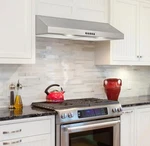 Vissani Caprelo 30 In. 320 Cfm Convertible Under Cabinet Range Hood In Stainless. Fixed Price $99.99.