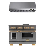 Dual Fuel Range For Propane Gas In Stainless Steel Gold Under Cabinet Hood. Fixed Price $13842.99.